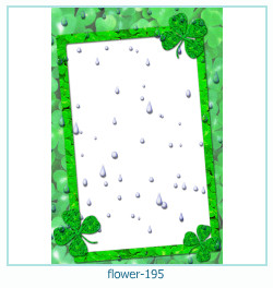 flower Photo frame 195